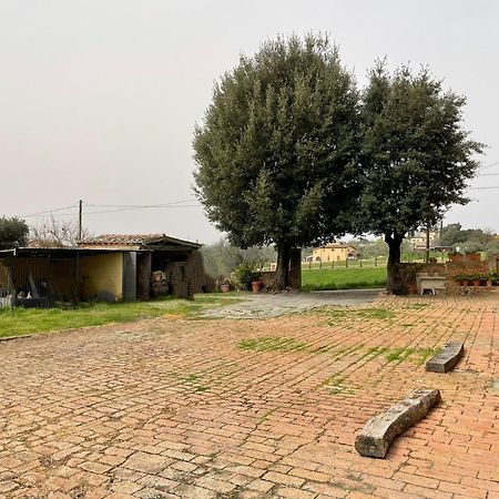 Podere Piazza Сієна Екстер'єр фото