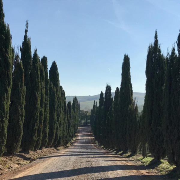 Podere Piazza Сієна Екстер'єр фото