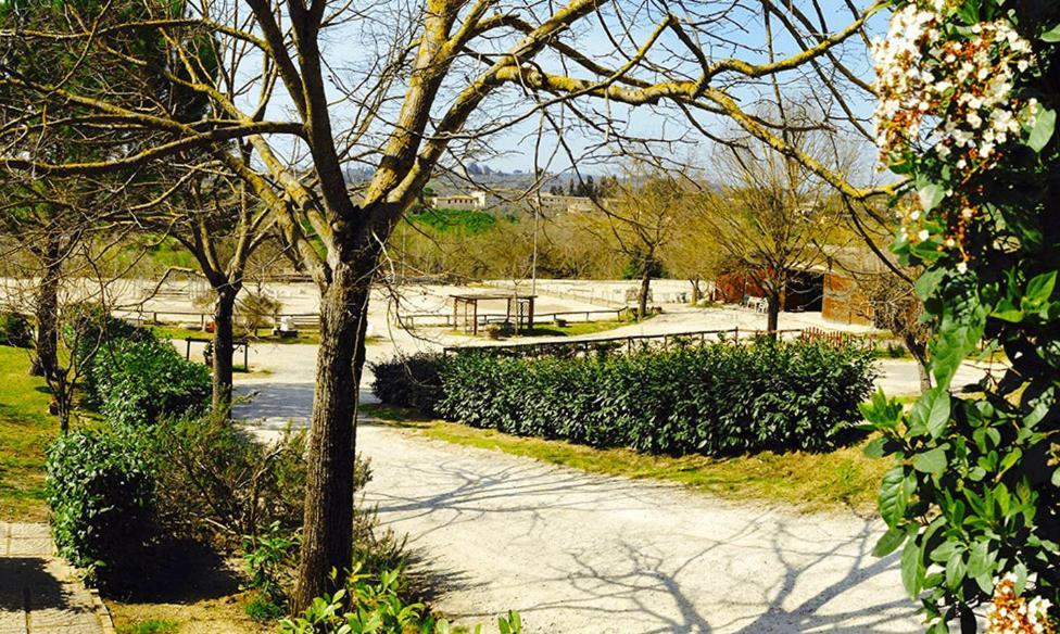 Podere Piazza Сієна Екстер'єр фото
